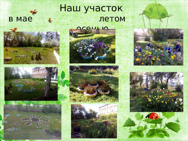 Наш участок  в мае летом осенью 
