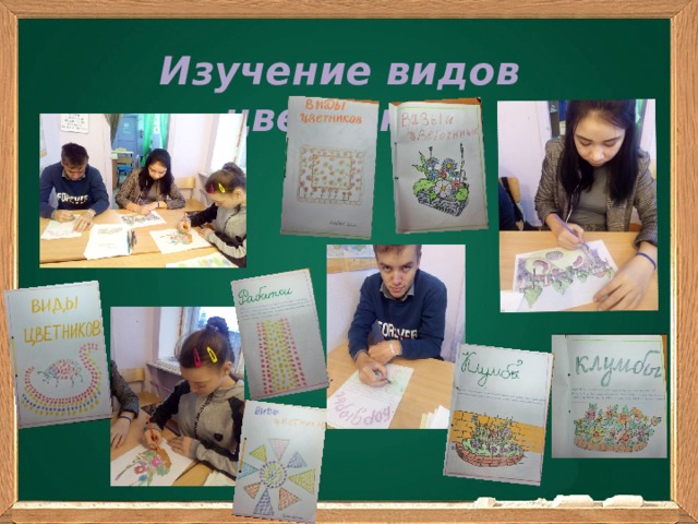 Изучение видов цветников  