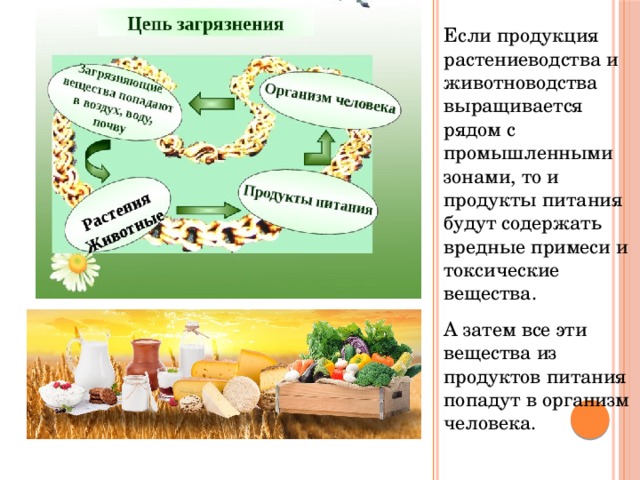 Экологические проблемы питания презентация