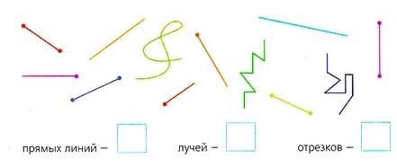 Сколько отрезков и лучей ты видишь на рисунке