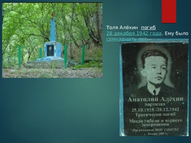 Толя Алёхин   погиб    28 декабря 1942 года . Ему было   семнадцать лет . 