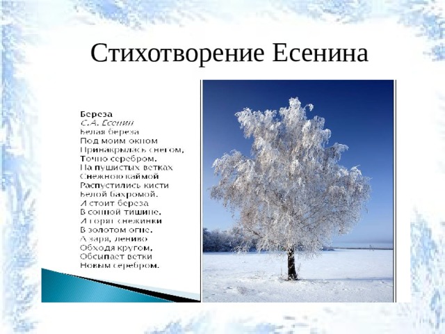 Анализ стихотворения есенина береза по плану