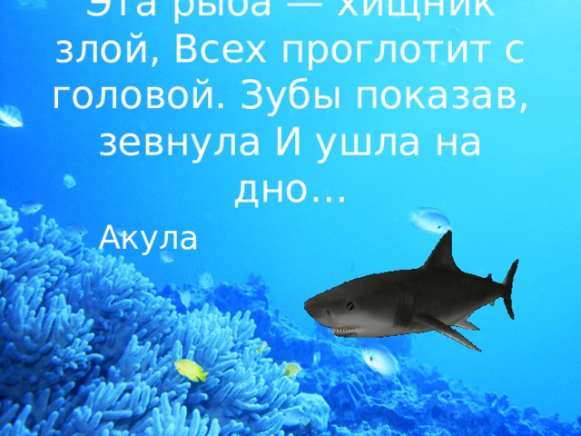 Эта рыба — хищник злой, Всех проглотит с головой. Зубы показав, зевнула И ушла на дно… Акула 