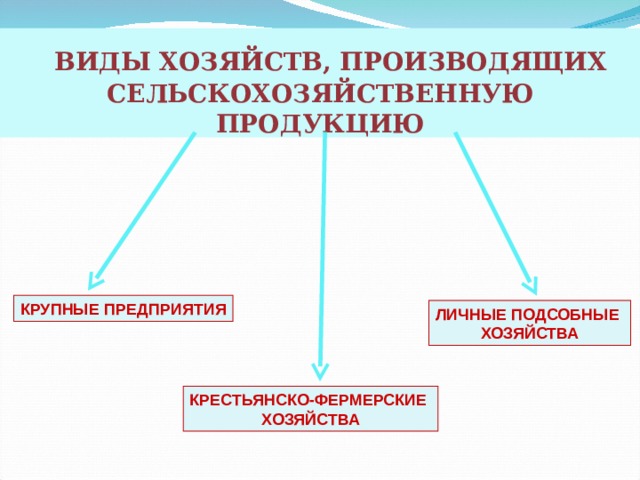   ВИДЫ ХОЗЯЙСТВ, ПРОИЗВОДЯЩИХ СЕЛЬСКОХОЗЯЙСТВЕННУЮ ПРОДУКЦИЮ КРУПНЫЕ ПРЕДПРИЯТИЯ ЛИЧНЫЕ ПОДСОБНЫЕ ХОЗЯЙСТВА КРЕСТЬЯНСКО-ФЕРМЕРСКИЕ ХОЗЯЙСТВА 