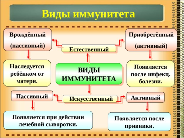 Виды иммунитета Врождённый (пассивный) Приобретённый (активный) Естественный Наследуется ребёнком от матери. Появляется после инфекц. болезни. ВИДЫ ИММУНИТЕТА Пассивный Активный Искусственный Появляется при действии лечебной сыворотки. Появляется после прививки. 
