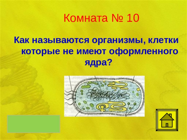 Комната № 10 Как называются организмы, клетки которые не имеют оформленного ядра? прокариоты