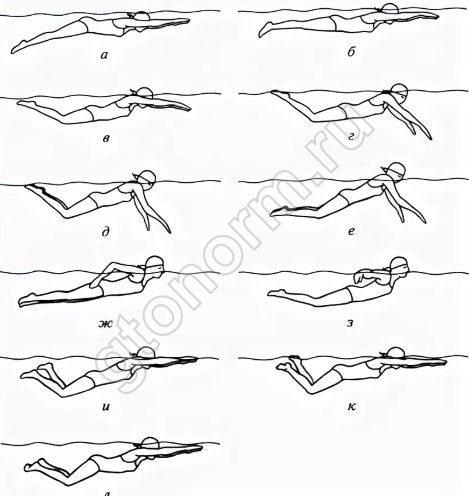 Баттерфляй плавание стили плавания. Баттерфляй плавание техника. Стиль плавания Баттерфляй. Плавание брасс Кроль Баттерфляй. Стиль плавания Кроль брасс.
