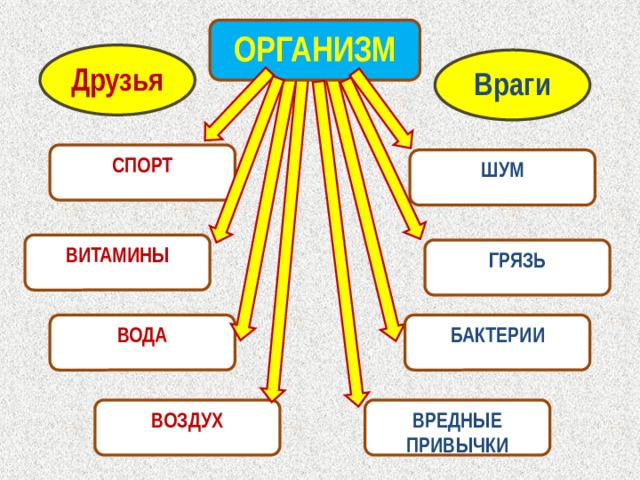 ОРГАНИЗМ Друзья Враги СПОРТ ШУМ ВИТАМИНЫ ГРЯЗЬ БАКТЕРИИ ВОДА ВРЕДНЫЕ ПРИВЫЧКИ ВОЗДУХ  