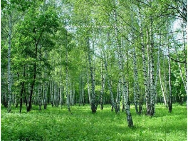        Подберите стихи к картинам природы 