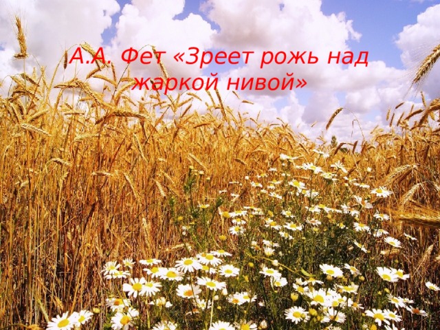  А.А. Фет «Зреет рожь над жаркой нивой» 