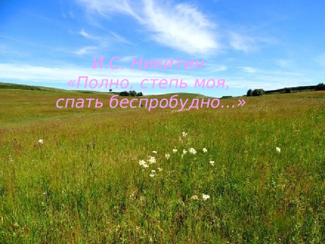 И.С. Никитин «Полно, степь моя, спать беспробудно…» 