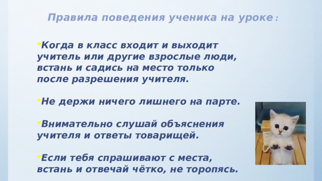 Может ли ученик выйти в туалет на уроке без разрешения учителя статья