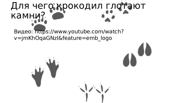 Для чего крокодил глотают камни? Видео: https://www.youtube.com/watch?v=jmKhOqaGNzI&feature=emb_logo 