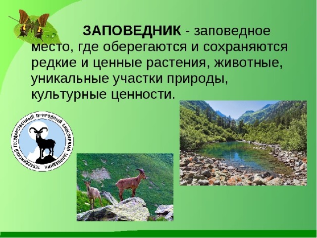 Презентация экология приморского края