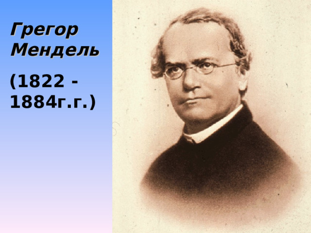 Грегор Мендель (1822 - 1884г.г.) 