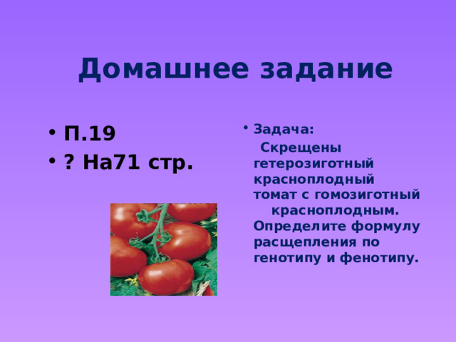 Домашнее задание П.19 ? На71 стр. Задача:  Скрещены гетерозиготный красноплодный томат с гомозиготный красноплодным. Определите формулу расщепления по генотипу и фенотипу. 