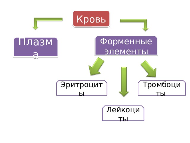 Кровь Форменные  элементы Плазма Эритроциты Тромбоциты Лейкоциты 