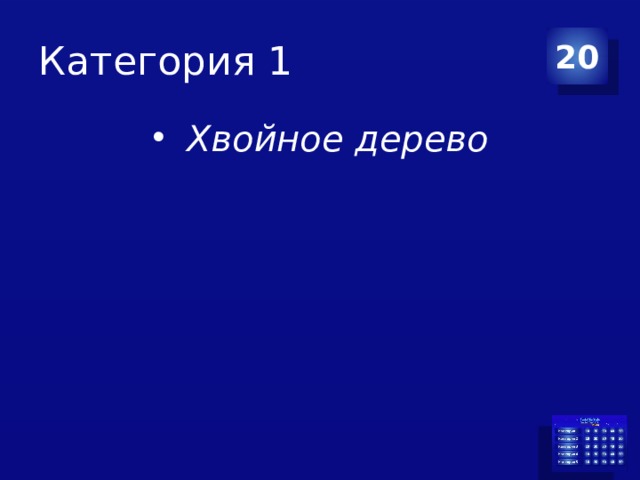 Категория 1 20   Хвойное дерево 