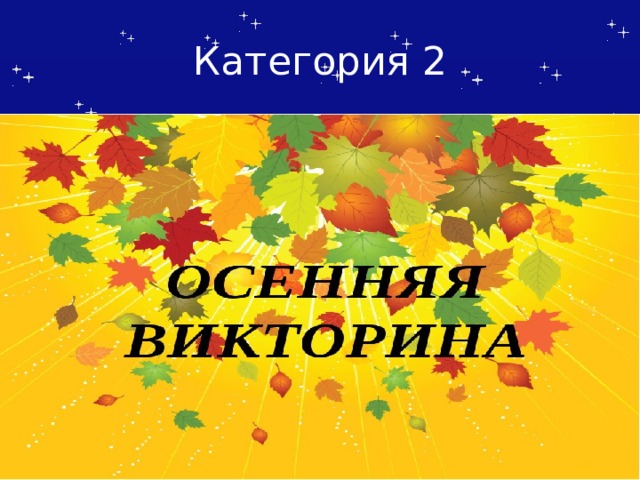 Категория 2 