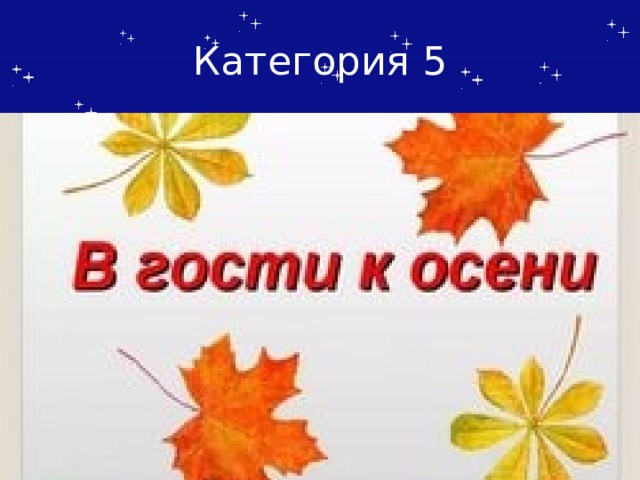 Категория 5 