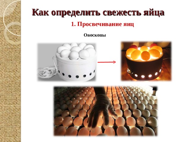 Как определить свежесть яйца    1. Просвечивание яиц Овоскопы 