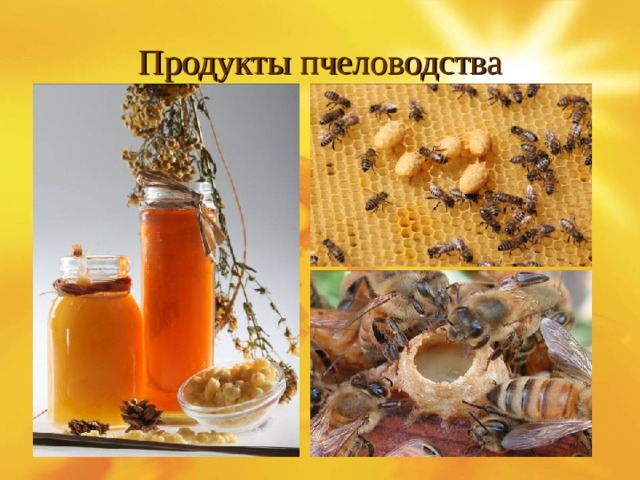 Продукция пчеловодства презентация