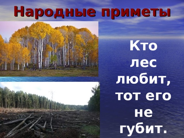Народные приметы Кто лес любит, тот его не губит. 