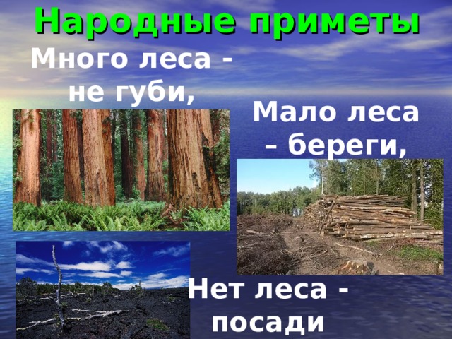 Народные приметы Много леса - не губи, Мало леса – береги, Нет леса - посади 
