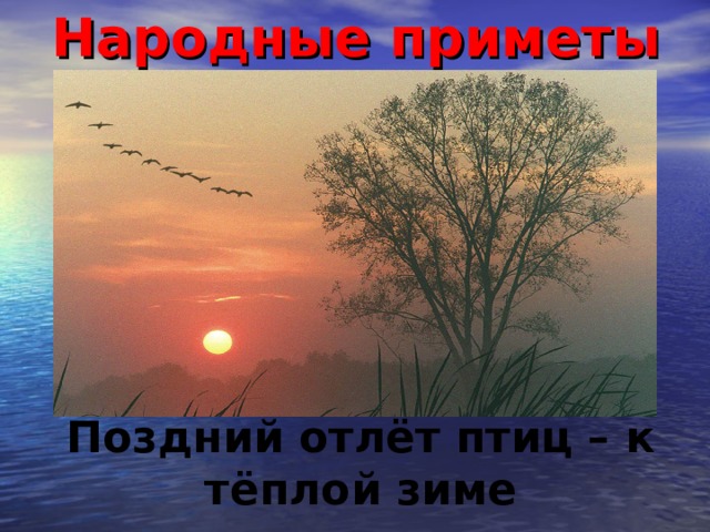 Народные приметы Поздний отлёт птиц – к тёплой зиме 