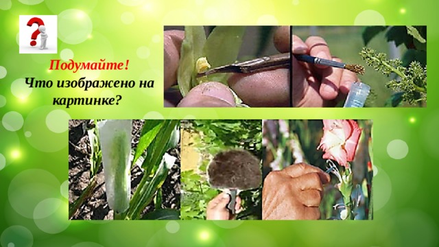 Подумайте! Что изображено на картинке? 