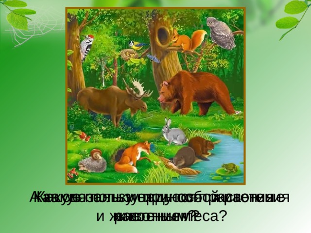 Как связаны между собой растения и животные леса? Какую пользу приносят растения животным? А какую пользу приносят животные растениям? 
