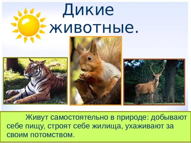  Дикие животные.     Живут самостоятельно в природе: добывают себе пищу, строят себе жилища, ухаживают за своим потомством. 