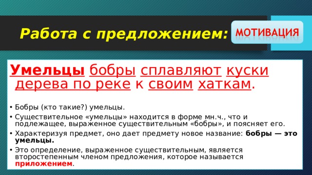 Работа с предложением: Умельцы  бобры  сплавляют  куски  дерева по реке к своим  хаткам .   Бобры (кто такие?) умельцы. Существительное «умельцы» находится в форме мн.ч., что и подлежащее, выраженное существительным «бобры», и поясняет его.  Характеризуя предмет, оно дает предмету новое название: бобры — это умельцы. Это определение, выраженное существительным, является второстепенным членом предложения, которое называется приложением .   