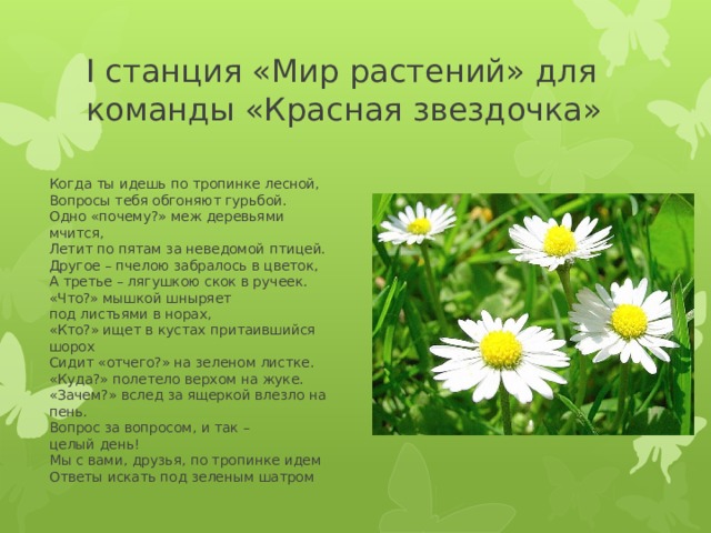 I станция «Мир растений» для команды «Красная звездочка» Когда ты идешь по тропинке лесной,   Вопросы тебя обгоняют гурьбой.   Одно «почему?» меж деревьями мчится,   Летит по пятам за неведомой птицей.   Другое – пчелою забралось в цветок,   А третье – лягушкою скок в ручеек.   «Что?» мышкой шныряет   под листьями в норах,   «Кто?» ищет в кустах притаившийся шорох   Сидит «отчего?» на зеленом листке.   «Куда?» полетело верхом на жуке.   «Зачем?» вслед за ящеркой влезло на пень.   Вопрос за вопросом, и так –   целый день!  Мы с вами, друзья, по тропинке идем   Ответы искать под зеленым шатром 