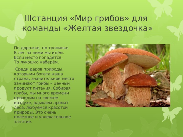  IIIстанция «Мир грибов» для команды «Желтая звездочка» По дорожке, по тропинке  В лес за ними мы идём.  Если место попадётся,  То лукошко наберём.  Среди даров природы, которыми богата наша страна, значительное место занимают грибы – ценный продукт питания. Собирая грибы, мы много времени проводим на свежем воздухе, вдыхаем аромат леса, любуемся красотой природы. Это очень полезное и увлекательное занятие. 