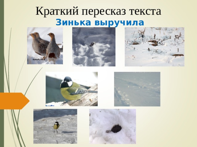 Краткий пересказ текста Зинька выручила 