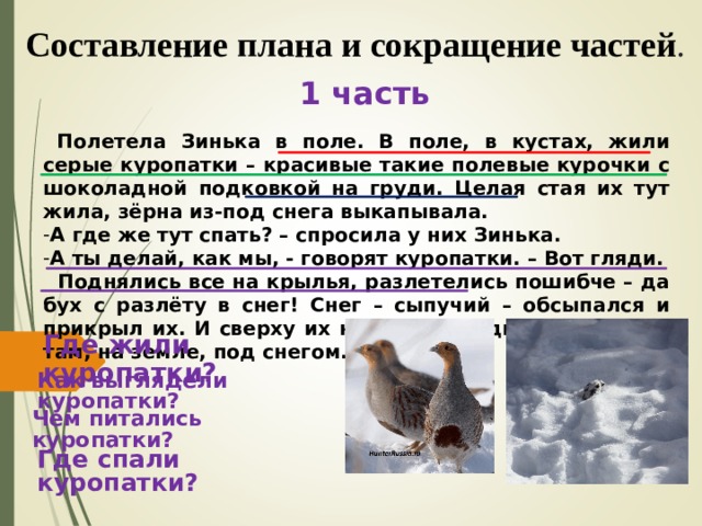 Составление плана и сокращение частей . 1 часть  Полетела Зинька в поле. В поле, в кустах, жили серые куропатки – красивые такие полевые курочки с шоколадной подковкой на груди. Целая стая их тут жила, зёрна из-под снега выкапывала. А где же тут спать? – спросила у них Зинька. А ты делай, как мы, - говорят куропатки. – Вот гляди.  Поднялись все на крылья, разлетелись пошибче – да бух с разлёту в снег! Снег – сыпучий – обсыпался и прикрыл их. И сверху их никто не увидит, и тепло им там, на земле, под снегом.  Где жили куропатки? Как выглядели куропатки? Чем питались куропатки? Где спали куропатки? 