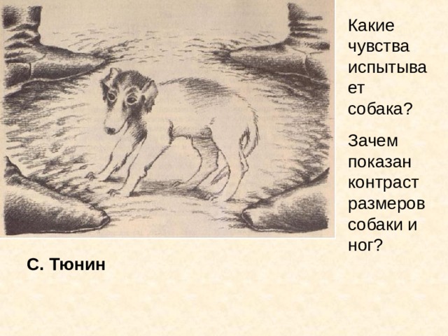 Какие чувства испытывает собака? Зачем показан контраст размеров собаки и ног? С. Тюнин 