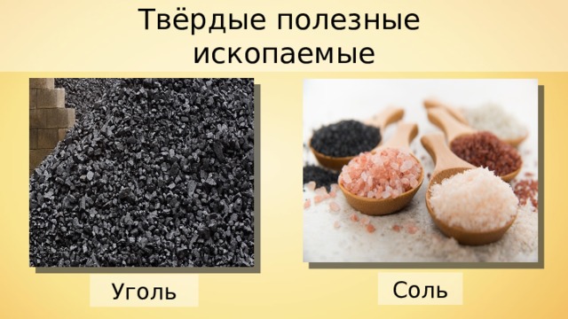 Твёрдые полезные ископаемые Соль Уголь 