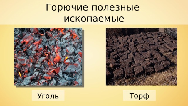Горючие полезные ископаемые Уголь Торф 