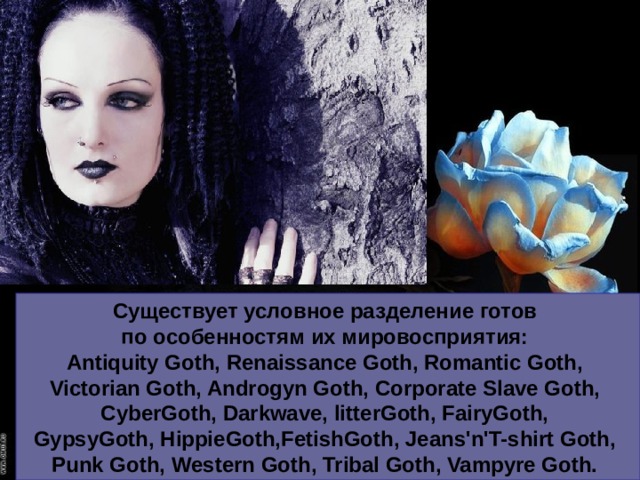 Существует условное разделение готов по особенностям их мировосприятия: Antiquity Goth, Renaissance Goth, Romantic Goth, Victorian Goth, Androgyn Goth, Corporate Slave Goth, CyberGoth, Darkwave, litterGoth, FairyGoth, GypsyGoth, HippieGoth,FetishGoth, Jeans'n'T-shirt Goth, Punk Goth, Western Goth, Tribal Goth, Vampyre Goth.  