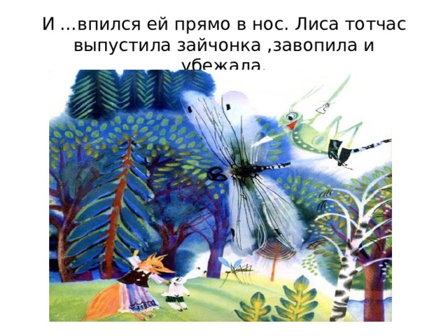 И …впился ей прямо в нос. Лиса тотчас выпустила зайчонка ,завопила и убежала. 