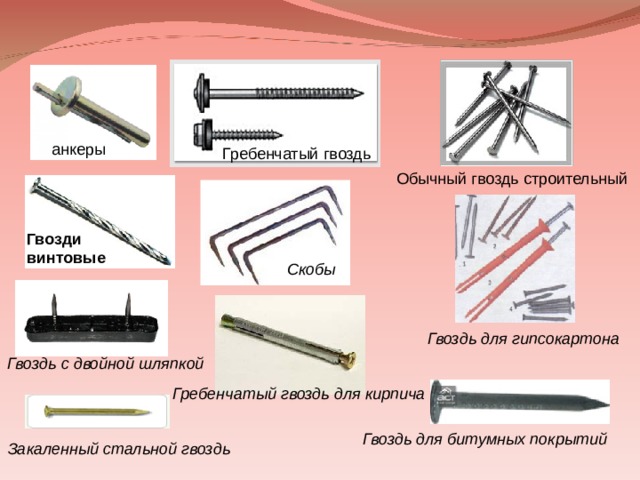 анкеры Гребенчатый гвоздь Обычный гвоздь строительный Гвозди винтовые Скобы Гвоздь для гипсокартона  Гвоздь с двойной шляпкой  Гребенчатый гвоздь для кирпича  Гвоздь для битумных покрытий  Закаленный стальной гвоздь  