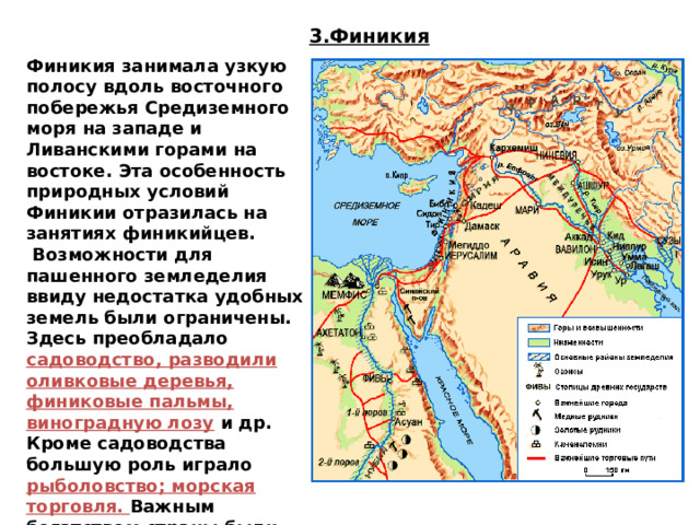 3.Финикия Финикия занимала узкую полосу вдоль восточного побережья Средиземного моря на западе и Ливанскими горами на востоке. Эта особенность природных условий Финикии отразилась на занятиях финикийцев.   Возможности для пашенного земледелия ввиду недостатка удобных земель были ограничены. Здесь преобладало садоводство, разводили оливковые деревья, финиковые пальмы, виноградную лозу и др. Кроме садоводства большую роль играло рыболовство; морская торговля. Важным богатством страны были леса, росшие в горах, изобиловавшие кедром и другими ценными породами деревьев. 