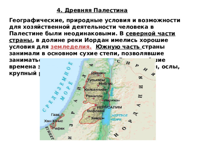 4. Древняя Палестина Географические, природные условия и возможности для хозяйственной деятельности человека в Палестине были неодинаковыми. В северной части страны , в долине реки Иордан имелись хорошие условия для земледелия.  Южную часть страны занимали в основном сухие степи, позволявшие заниматься лишь скотоводством . В древнейшие времена здесь были одомашнены овцы, козы, ослы, крупный рогатый скот. 