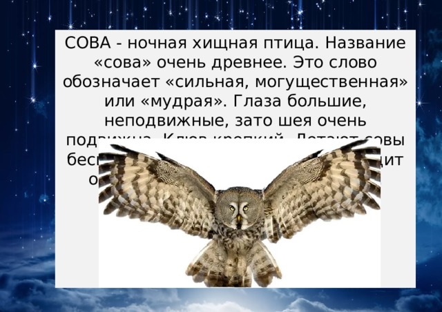 СОВА - ночная хищная птица. Название «сова» очень древнее. Это слово обозначает «сильная, могущественная» или «мудрая». Глаза большие, неподвижные, зато шея очень подвижна. Клюв крепкий. Летают совы бесшумно. Сова и днём, и ночью видит одинаково, цвет различает слабо. 