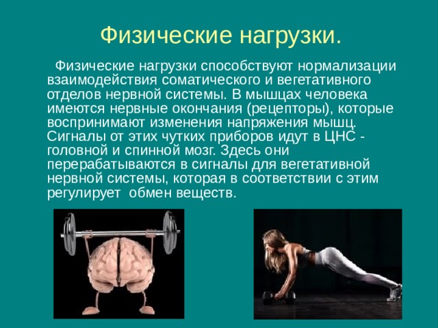 Физические нагрузки.  Физические нагрузки способствуют нормализации взаимодействия соматического и вегетативного отделов нервной системы. В мышцах человека имеются нервные окончания (рецепторы), которые воспринимают изменения напряжения мышц. Сигналы от этих чутких приборов идут в ЦНС -  головной и спинной мозг. Здесь они перерабатываются в сигналы для вегетативной нервной системы, которая в соответствии с этим регулирует  обмен веществ. 