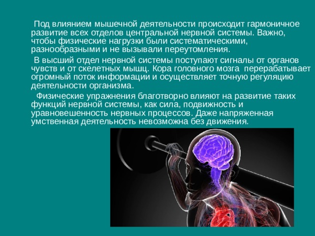 Какова роль нервных центров. Важность нервной системы. Роль нервной системы в организме. Роль нервной системы в регуляции движений. Роль нервной системы в жизни человека.