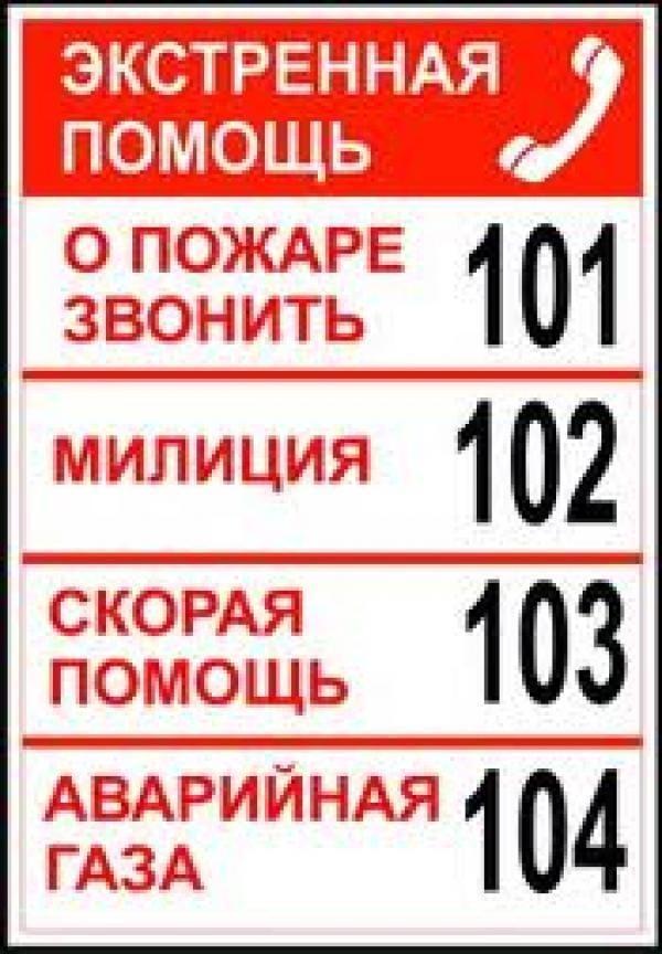 Номер службы безопасности. Экстренный номер. Номера экстренных служб для детей. Номера служб спасения. Табличка с номерами экстренных служб.