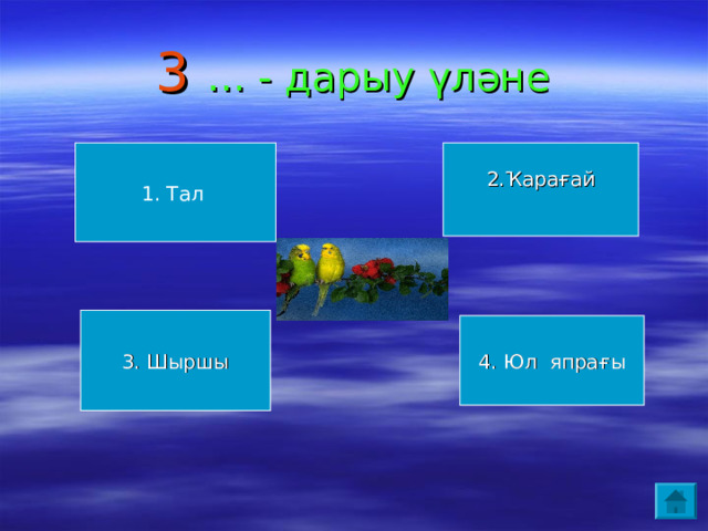 3 … - дарыу үләне 1. Тал 2.Ҡарағай 3. Шыршы 4. Юл япрағы 